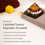 Shri Yantra Gomti Chakra Laxmi Pyramid - Image 6