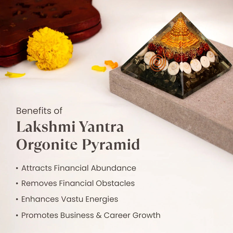 Shri Yantra Gomti Chakra Laxmi Pyramid - Image 6