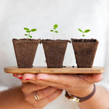 Gardening Needs