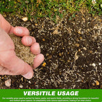 Grass Seeds Hybrid Best For Your Beautiful Home Gardening (Pack Of 100 seeds) - Image 3